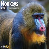 Monkeys 2021