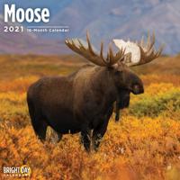 Moose 2021