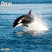 Orcas 2021