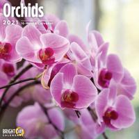 Orchids 2021
