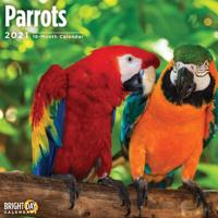 Parrots 2021
