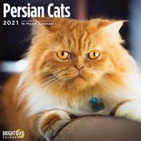 Persian Cats 2021