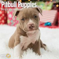 Pitbull Puppies 2021