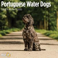 Portuguese Water Dogs 2021