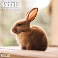 Rabbits 2021