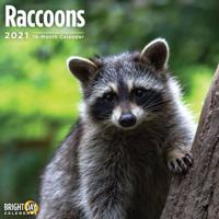 Raccoons 2021