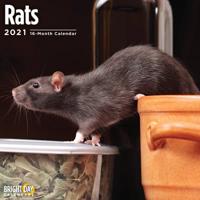 Rats 2021