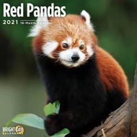 Red Pandas 2021
