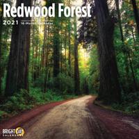 Redwood Forest 2021