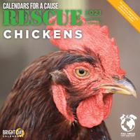 Rescue Chickens 2021