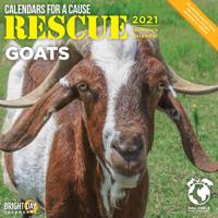 Rescue Goats 2021