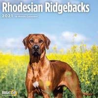 Rhodesian Ridgebacks 2021