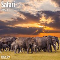 Safari 2021