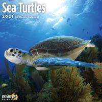 Sea Turtles 2021