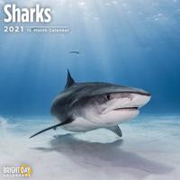 Sharks 2021