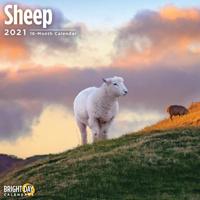 Sheep 2021