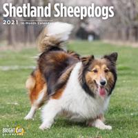 Shetland Sheepdogs 2021