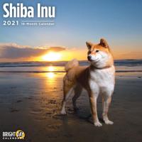 Shiba Inu 2021