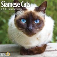 Siamese Cats 2021