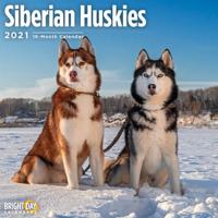 Siberian Huskies 2021