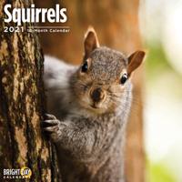 Squirrel 2021