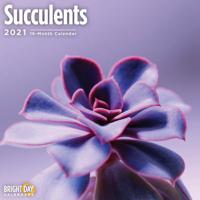 Succulents 2021