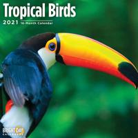 Tropical Birds 2021