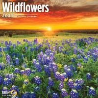 Wildflowers 2021