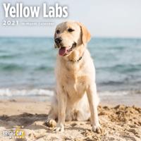 Yellow Labs 2021