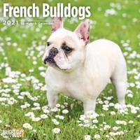 French Bulldogs 2021