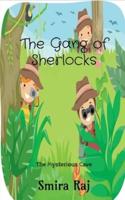The Gang Of Sherlocks : The Mysterious Cave