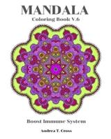 Mandala Coloring Book V.6