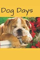 Dog Days Journal