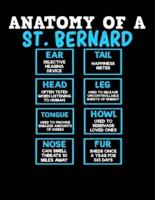Anatomy of a St. Bernard
