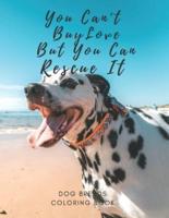 You Can't Buy Love But You Can Rescue It