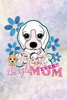 Best Beagle Mom Ever!!