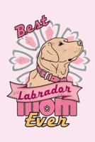 Best Labrador Mom Ever