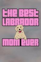 Best Labrador Mom Ever