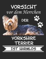 Vorsicht Vor Dem Herrchen Der Yorkshire Terrier Ist Harmlos