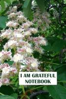 I Am Grateful