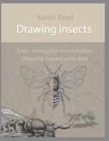 Drawing Insects