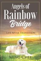 Angels Of Rainbow Bridge