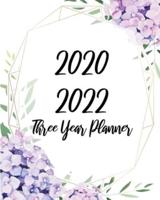 2020-2022 Three Year Planner