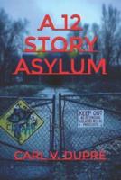 A 12 Story Asylum