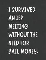 I Survived An IEP Meeting Without The Need For Bail Money