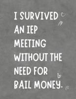 I Survived An IEP Meeting Without The Need For Bail Money