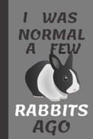 I Was Normal A Few Rabbits Ago