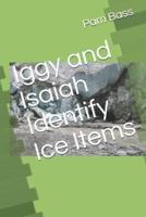 Iggy and Isaiah Identify Ice Items