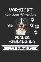 Vorsicht Vor Dem Herrchen Der Berner Sennenhund Ist Harmlos