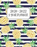3 Year Planner